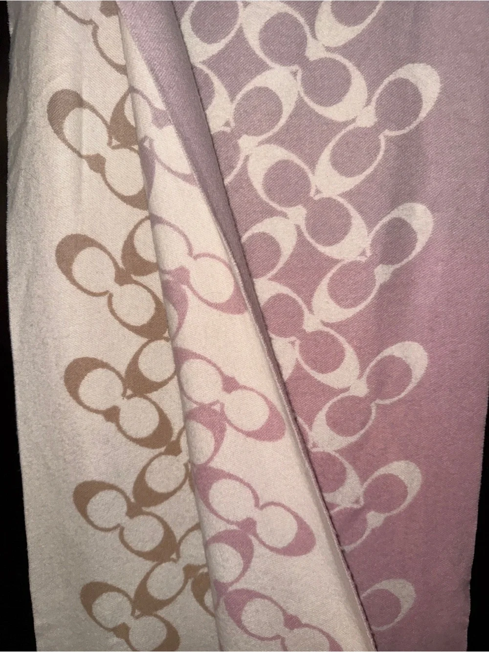 Coach Ombré Patterned Scarf